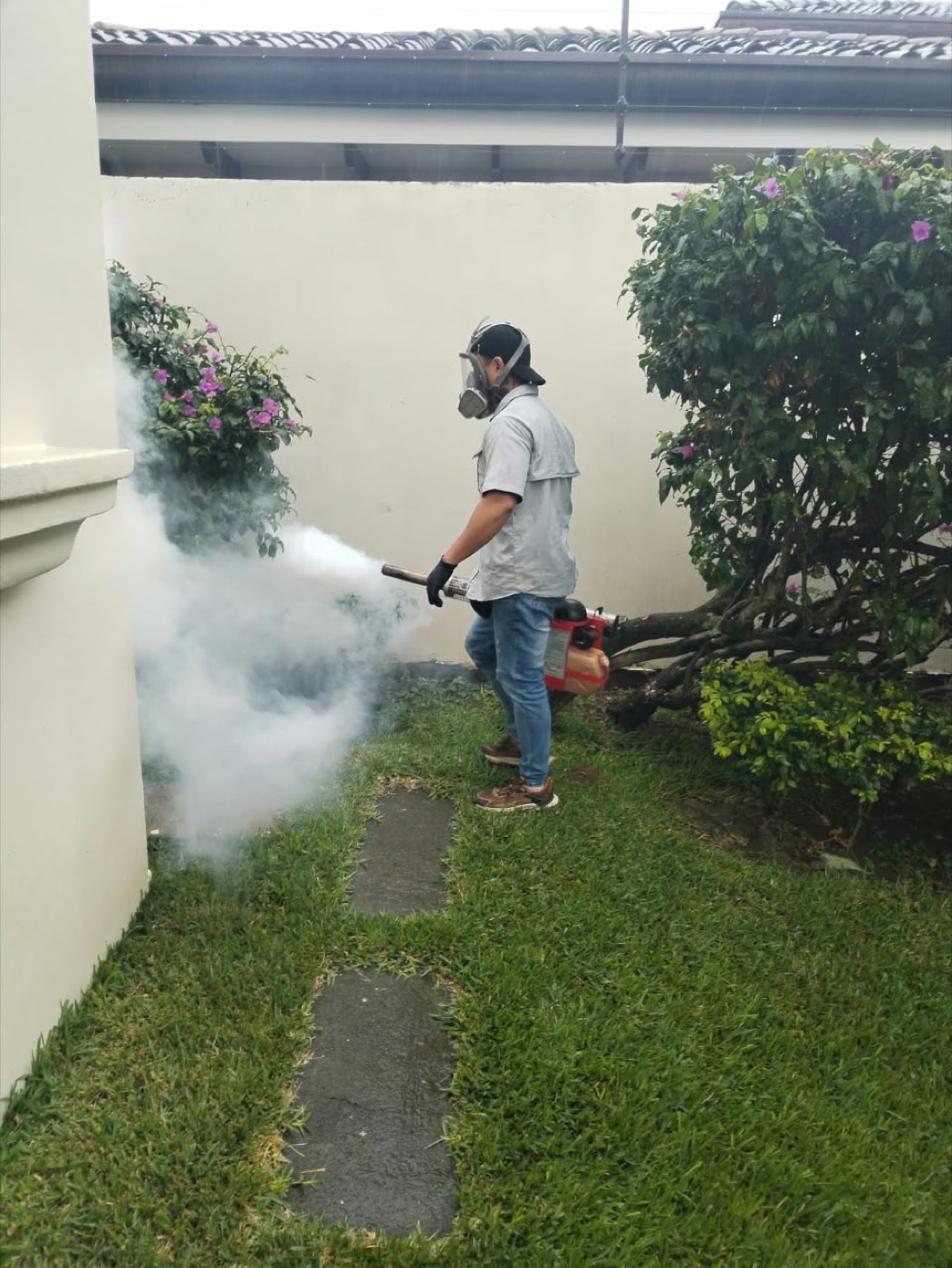 Técnico aplicando un tratamiento profesional en áreas verdes exteriores